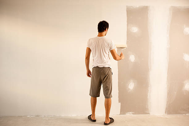 Best Wallpaper Removal and Painting  in USA